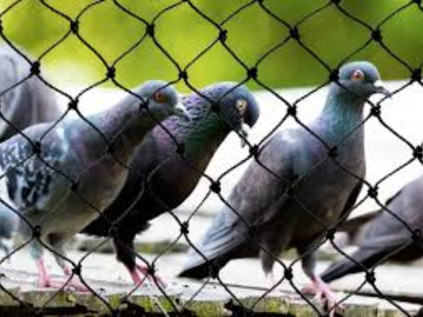 Invisible Grill for Sliding Door